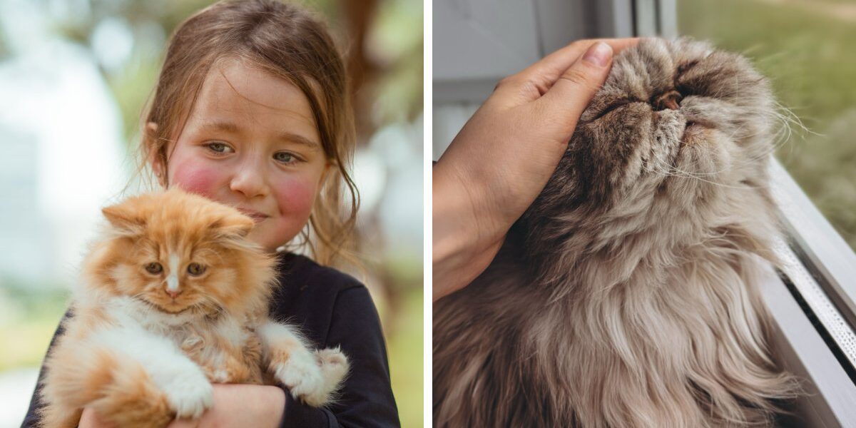 cat-myths-revealed-animal-behavior-expert-zazie-todd-fb
