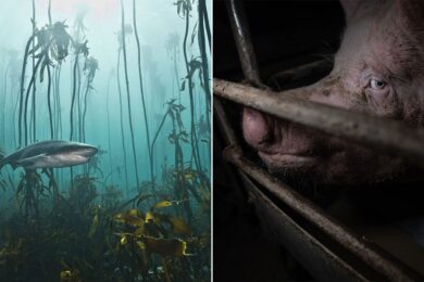 nature-and-humans-photo-contest-featured