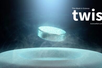 TWIS-July-11-cover