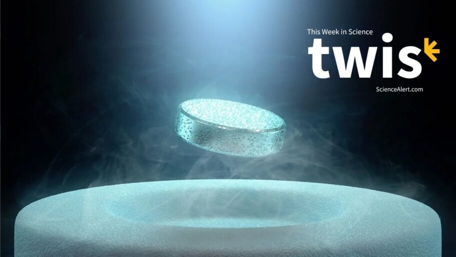 TWIS-July-11-cover