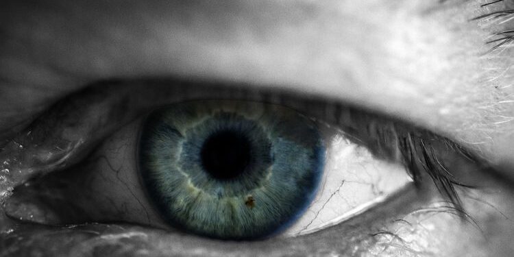 eyeball-750×500-1
