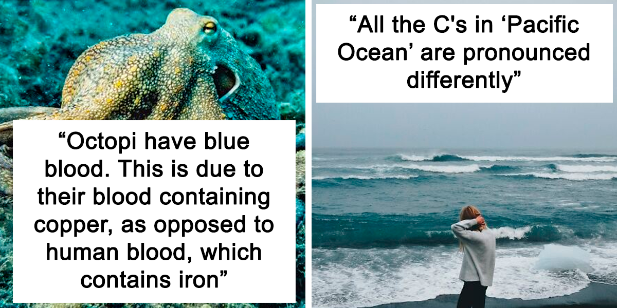 most-random-facts-people-know-fb47