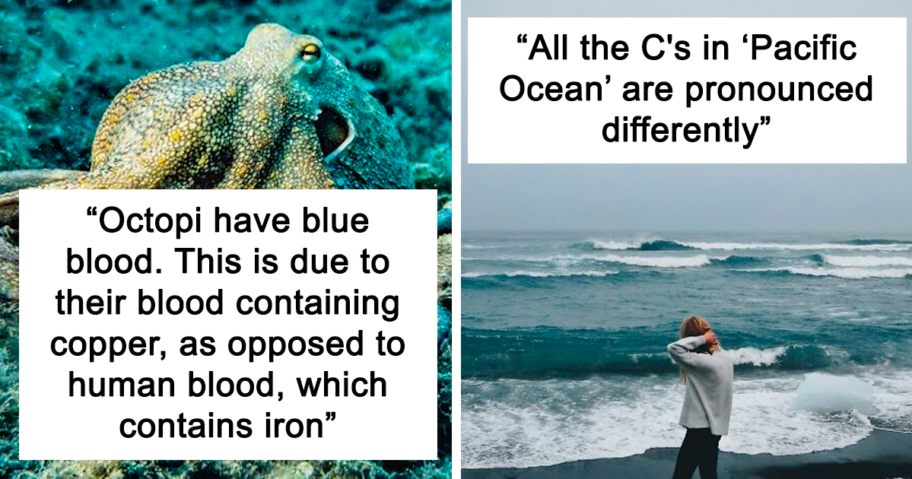 most-random-facts-people-know-fb47