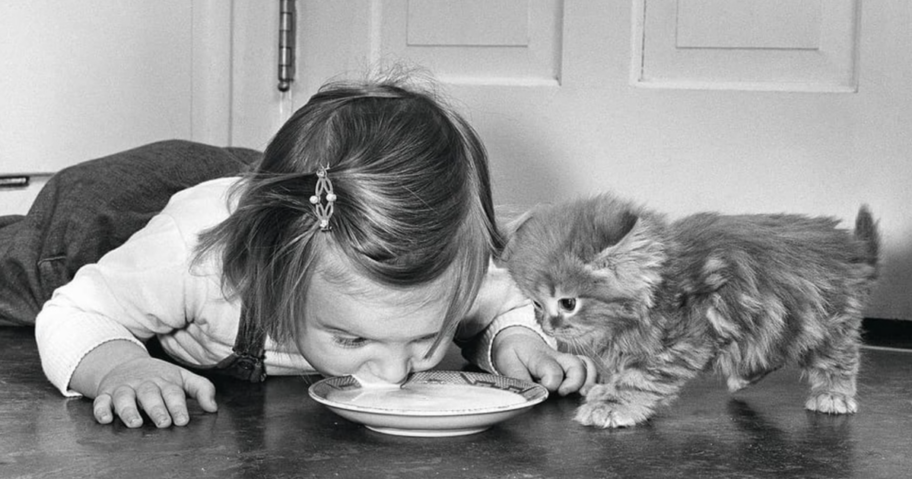vintage-photos-kids-animals-allvintagecats-fb-6836cf1b0dc24