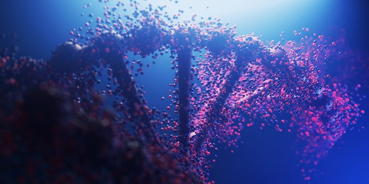 DNA-structure