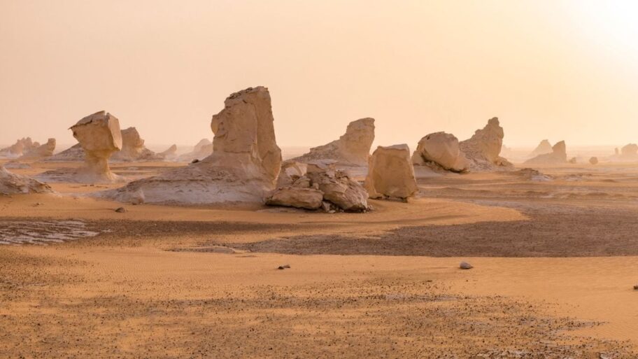 DesertEgypt