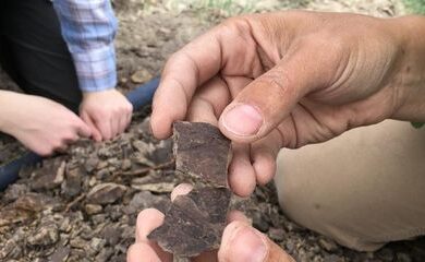 low-res_example_of_carbonaceous_shale_img_6878