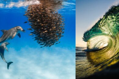 Underwater-Awards-Australasia