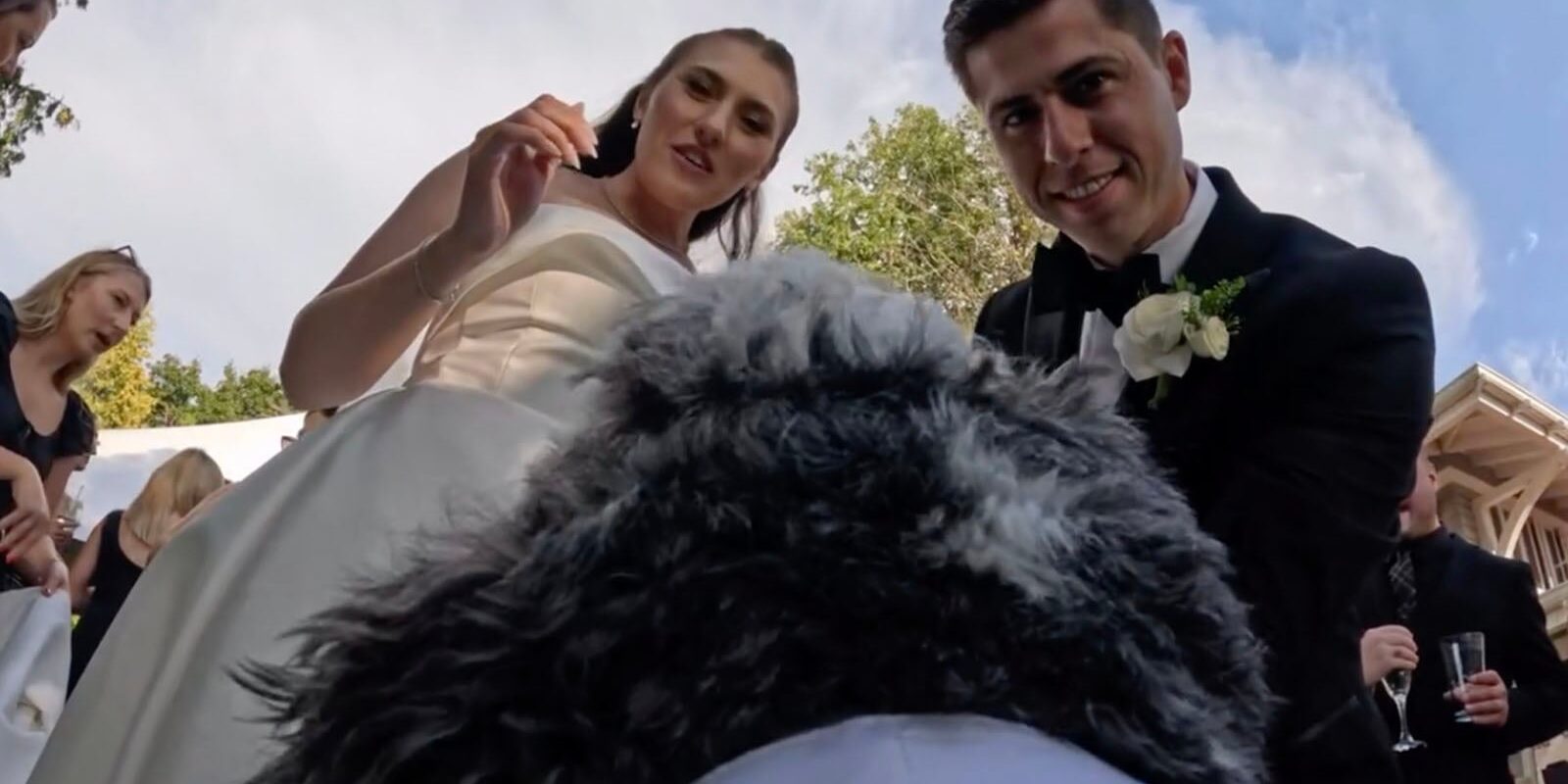 Dog-Wedding-Videographer