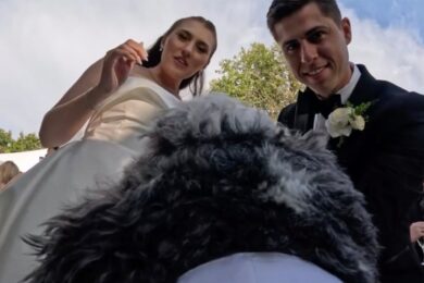 Dog-Wedding-Videographer
