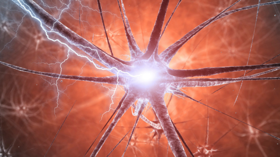 neurons-glowing-on-orange-background-1200×675-1